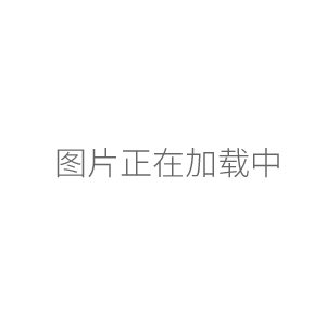 上海雷磁JPSJ-605型溶解氧分析儀（停產(chǎn)）